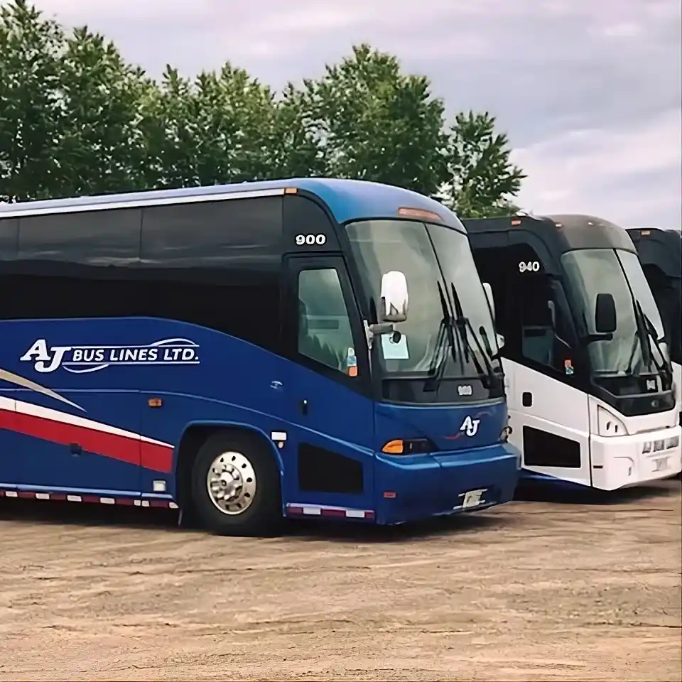 AJ Bus Lines charter buses supporting regional passenger transportation